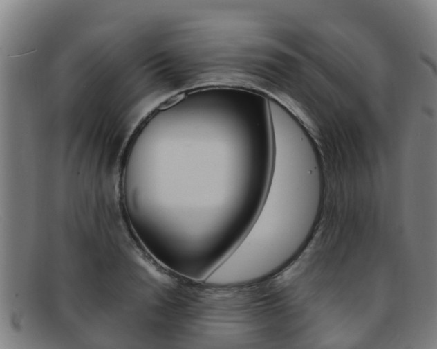 X0000092070846200709121024