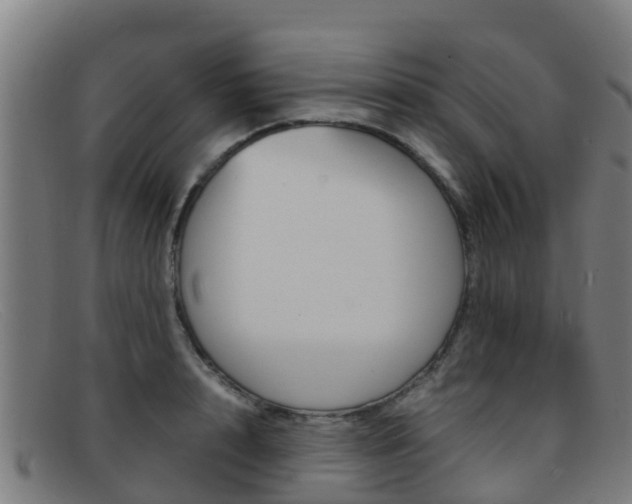 X0000092070848200709121024