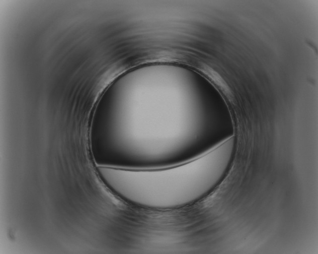X0000092070850200709121024
