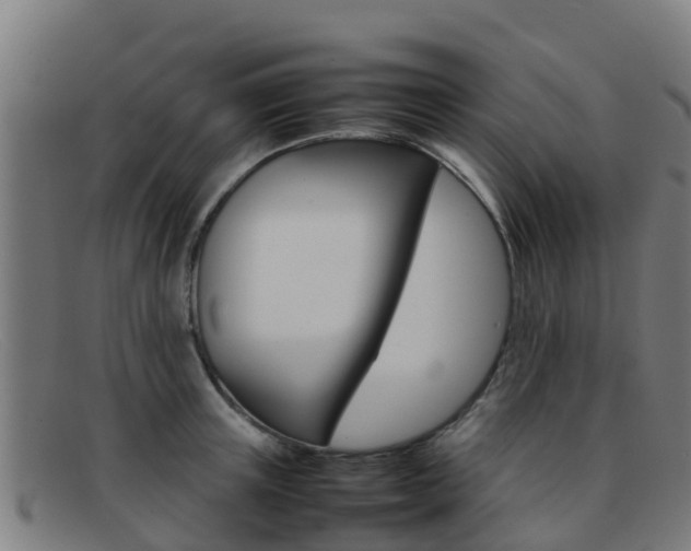 X0000092070851200709121024