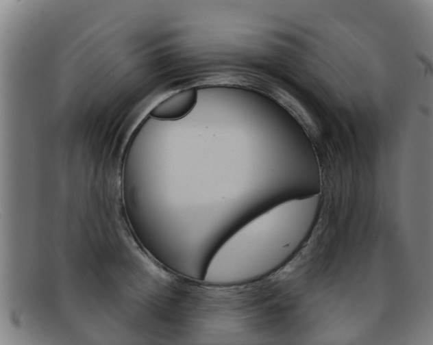 X0000092070852200709121024