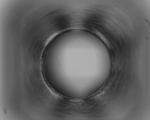 X0000092070853200709121024