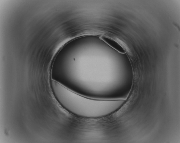 X0000092070854200709121024