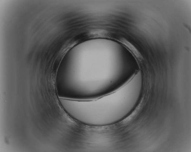X0000092070857200709121024