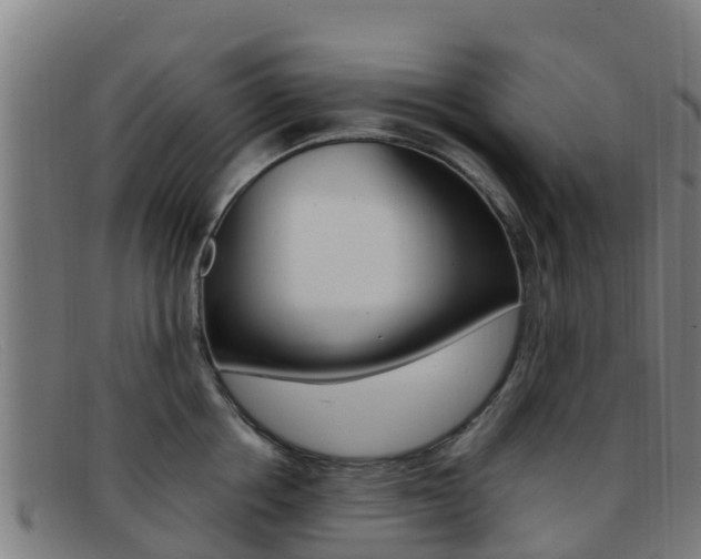 X0000092070858200709121024
