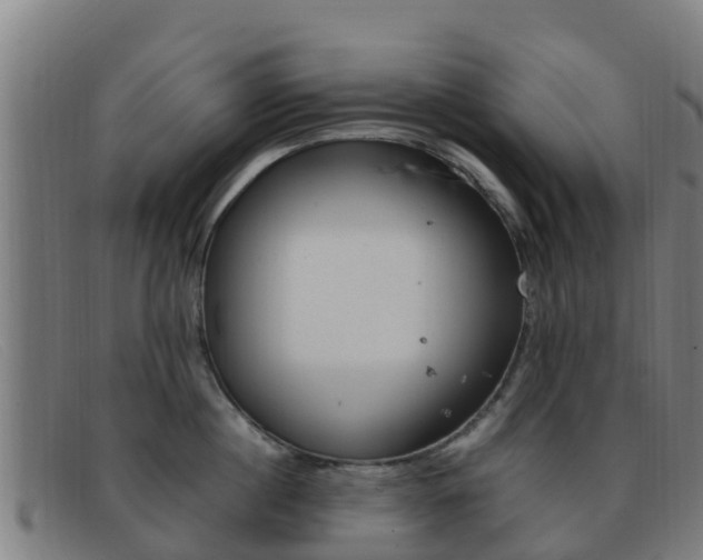X0000092070860200709121024