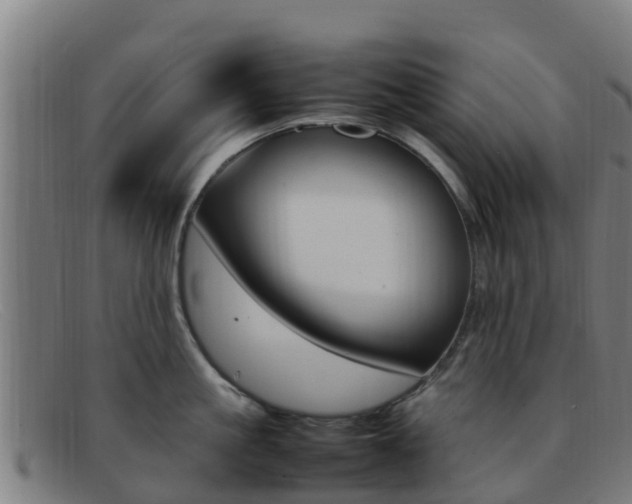 X0000092070861200709121024