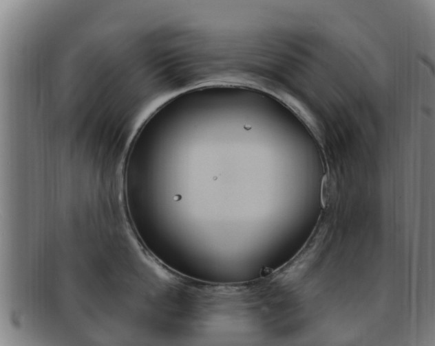 X0000092070862200709121024