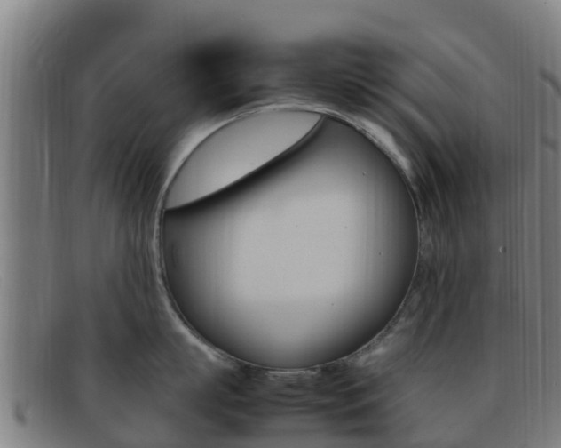 X0000092070863200709121024