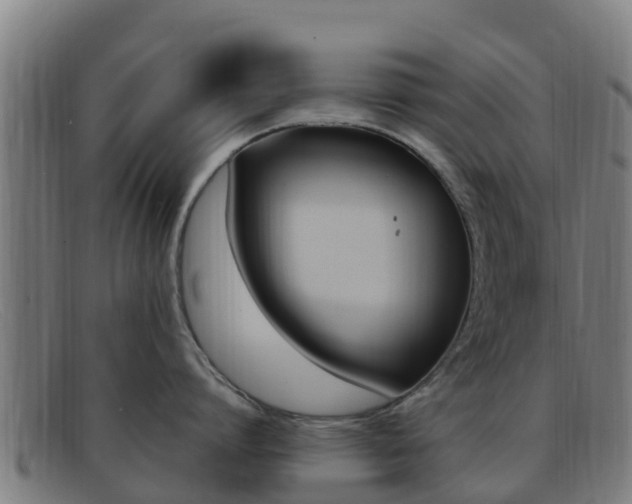 X0000092070864200709121024