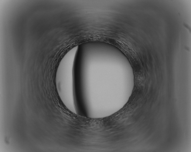 X0000092070865200709121024