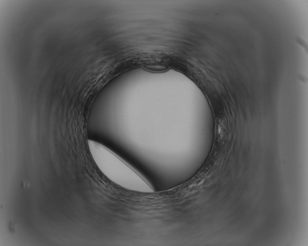 X0000092070867200709121024