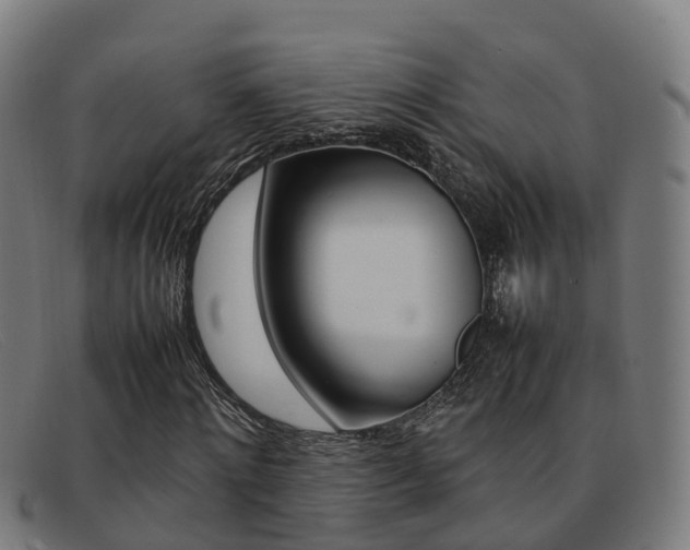 X0000092070868200709121024