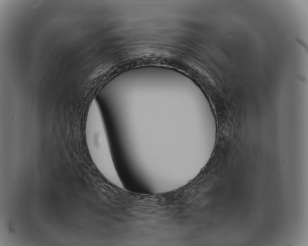 X0000092070869200709121024