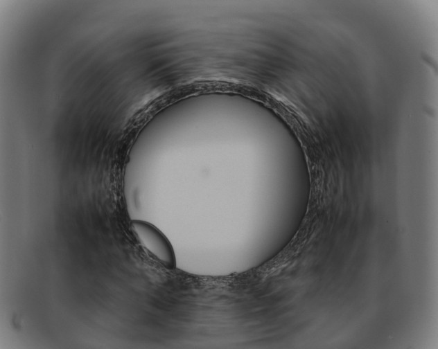 X0000092070870200709121024