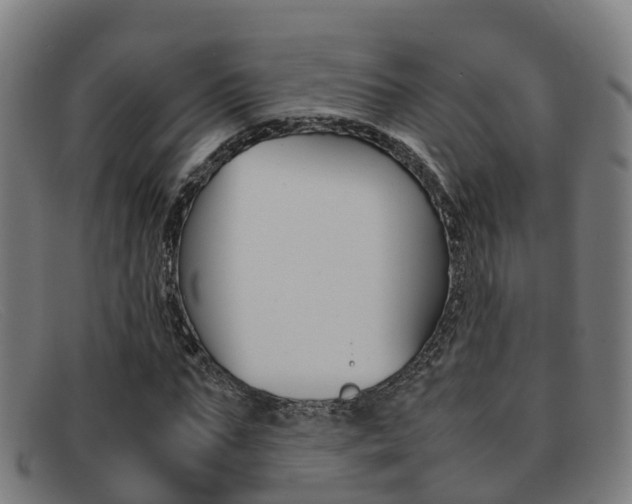 X0000092070871200709121024