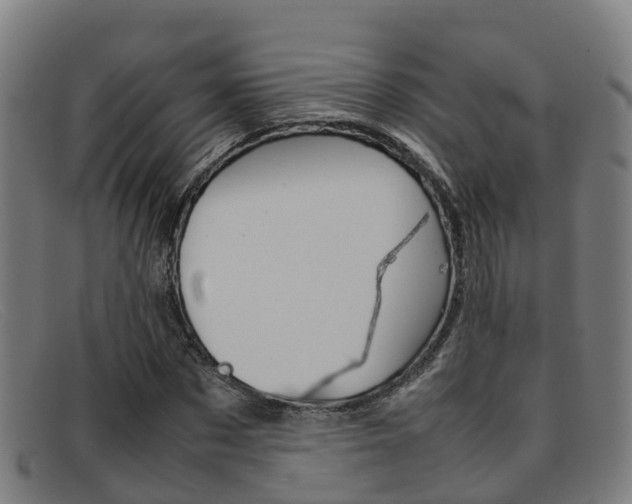 X0000092070873200709121024