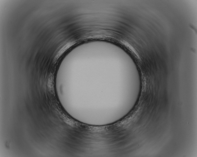 X0000092070874200709121024