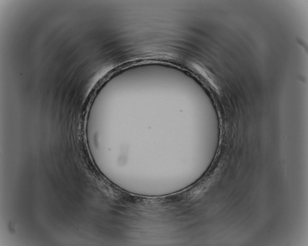 X0000092070875200709121024