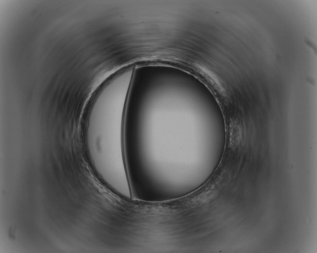 X0000092070876200709121024