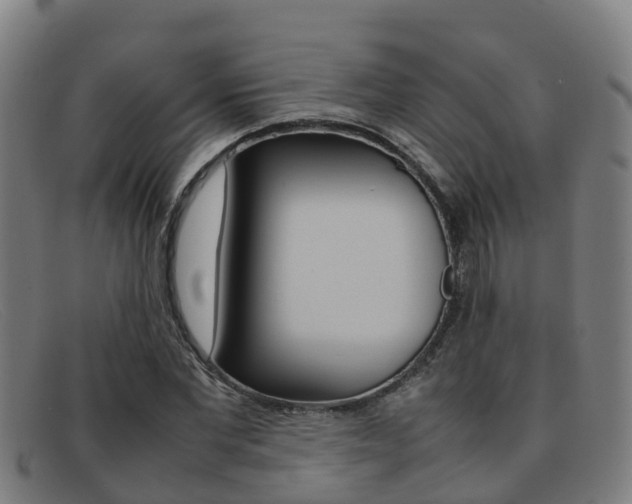 X0000092070877200709121024