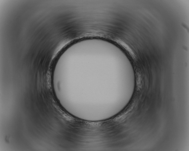 X0000092070878200709121024