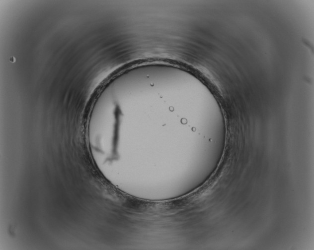 X0000092070879200709121024