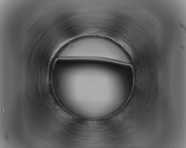X0000092070880200709121024