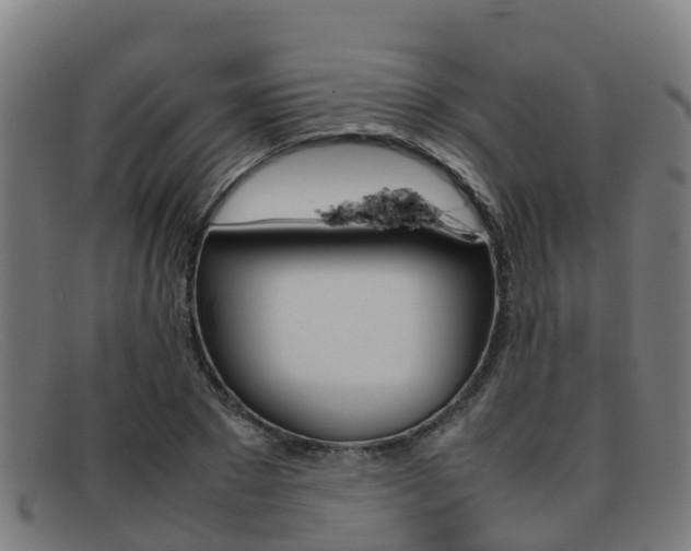 X0000092070881200709121024