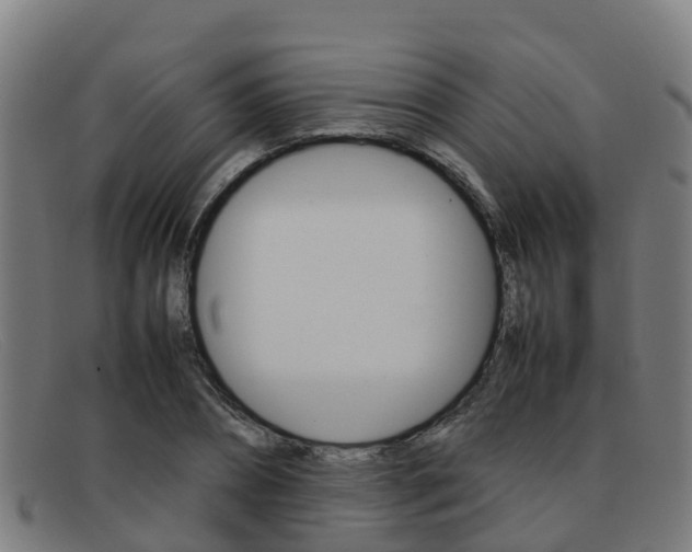 X0000092070882200709121024