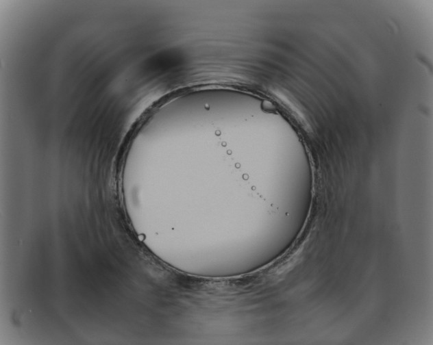 X0000092070883200709121024