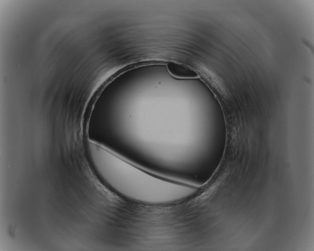 X0000092070884200709121024