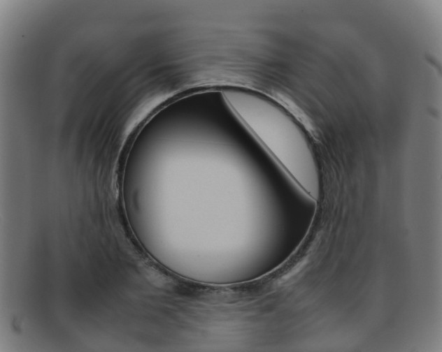 X0000092070885200709121024
