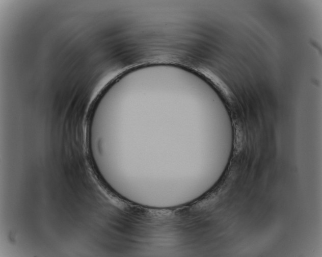 X0000092070886200709121024