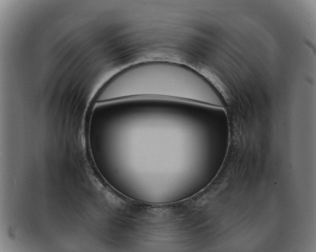 X0000092070888200709121024