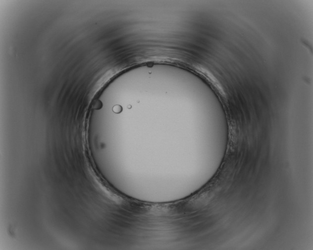 X0000092070890200709121024
