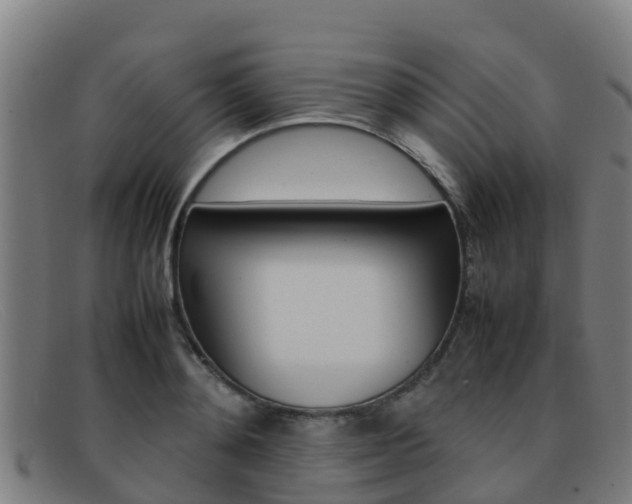 X0000092070892200709121024