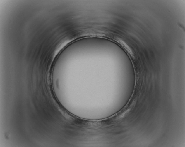 X0000092070893200709121024