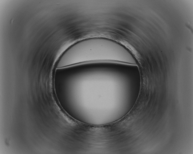 X0000092070894200709121024