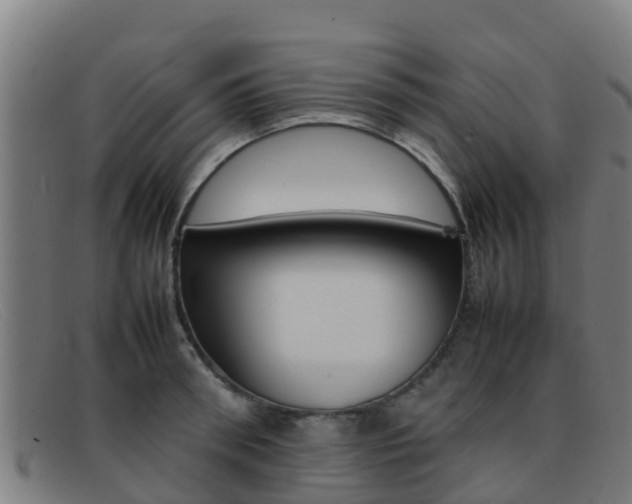 X0000092070898200709121023