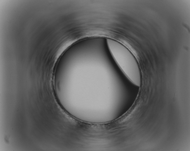 X0000092070901200709121023