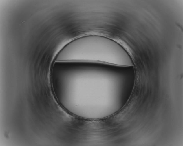 X0000092070902200709121023