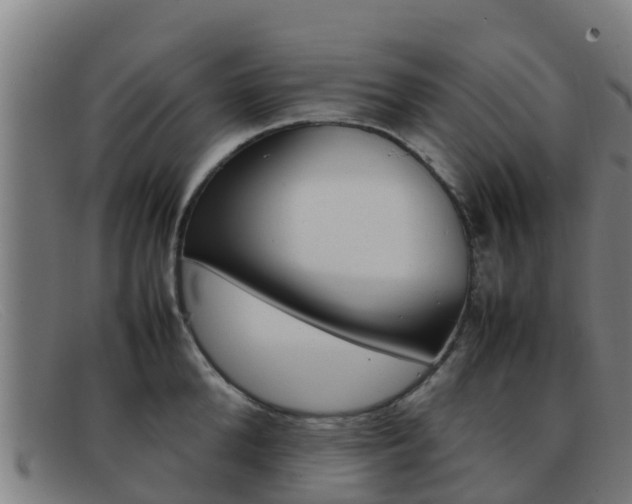 X0000092070904200709121023