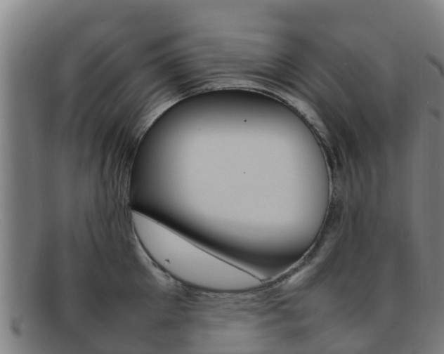 X0000092070905200709121023