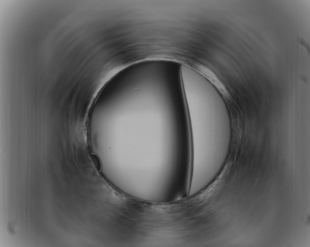 X0000092070908200709121023