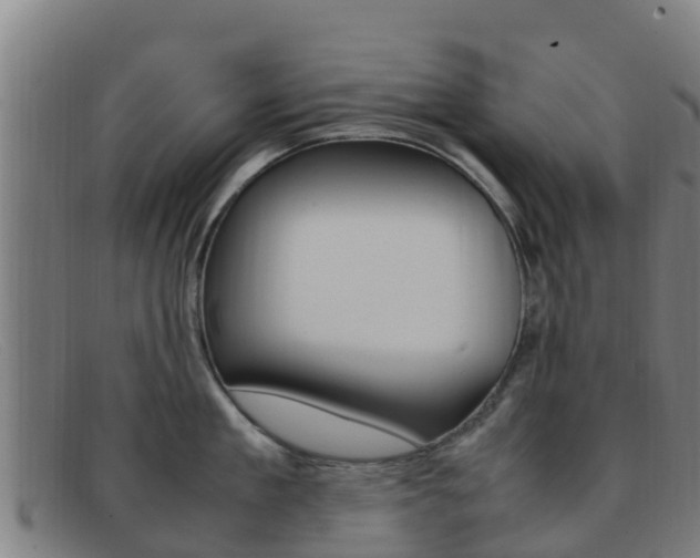 X0000092070909200709121023