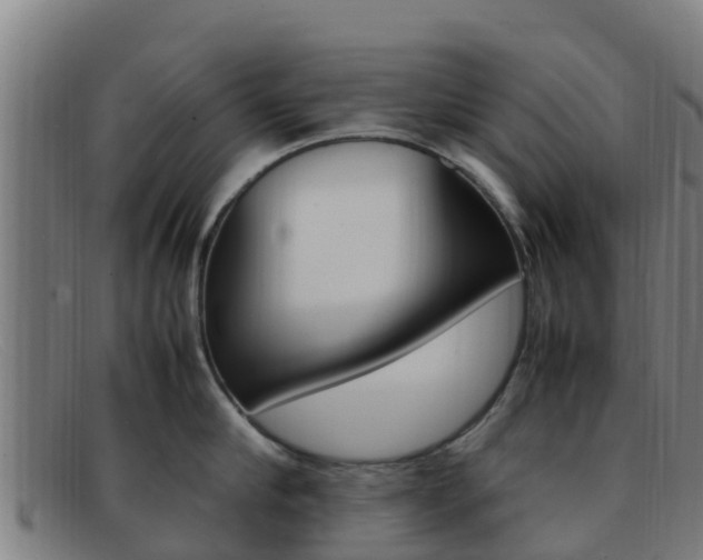 X0000092070910200709121023