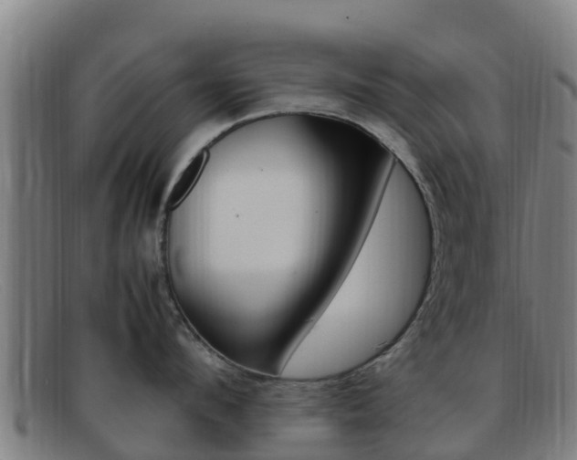 X0000092070912200709121023
