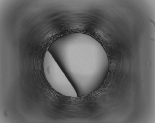 X0000092070917200709121023