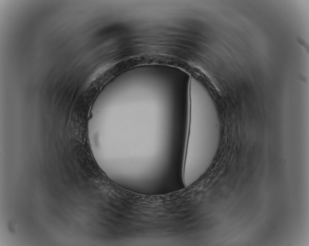X0000092070919200709121023